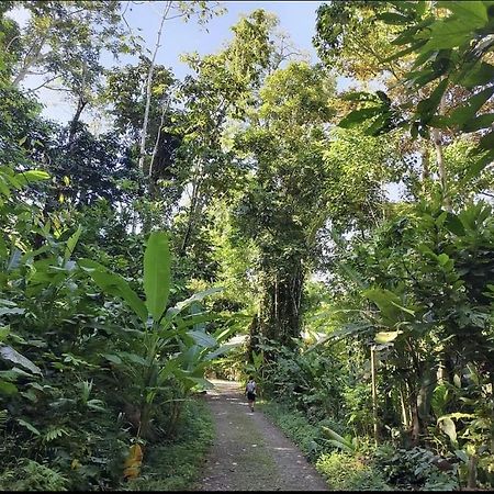 Casa Palmera Cocles, 300M To The Beach Puerto Viejo de Talamanca エクステリア 写真