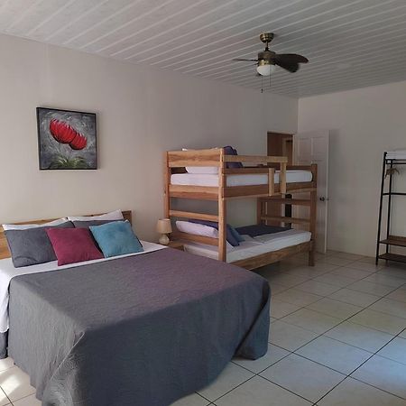 Casa Palmera Cocles, 300M To The Beach Puerto Viejo de Talamanca エクステリア 写真