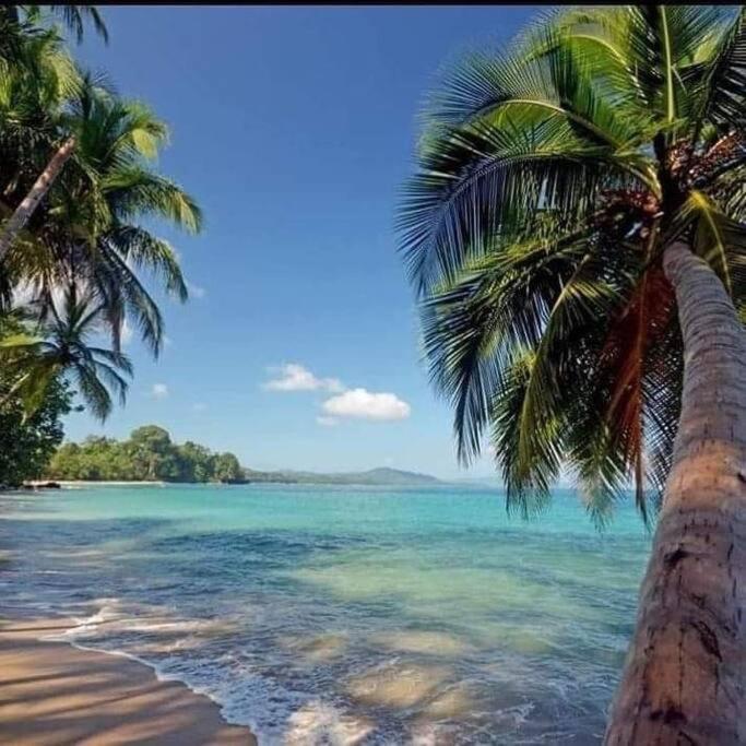 Casa Palmera Cocles, 300M To The Beach Puerto Viejo de Talamanca エクステリア 写真