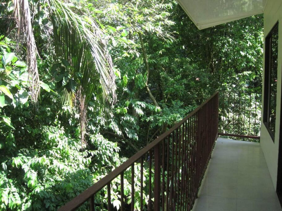 Casa Palmera Cocles, 300M To The Beach Puerto Viejo de Talamanca エクステリア 写真