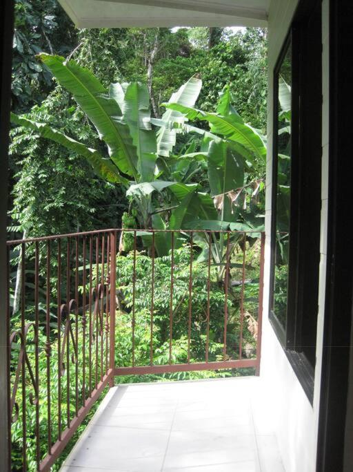 Casa Palmera Cocles, 300M To The Beach Puerto Viejo de Talamanca エクステリア 写真
