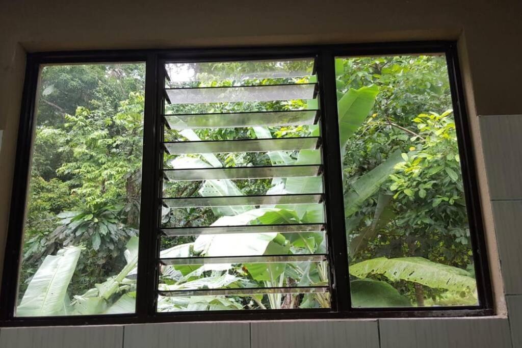 Casa Palmera Cocles, 300M To The Beach Puerto Viejo de Talamanca エクステリア 写真