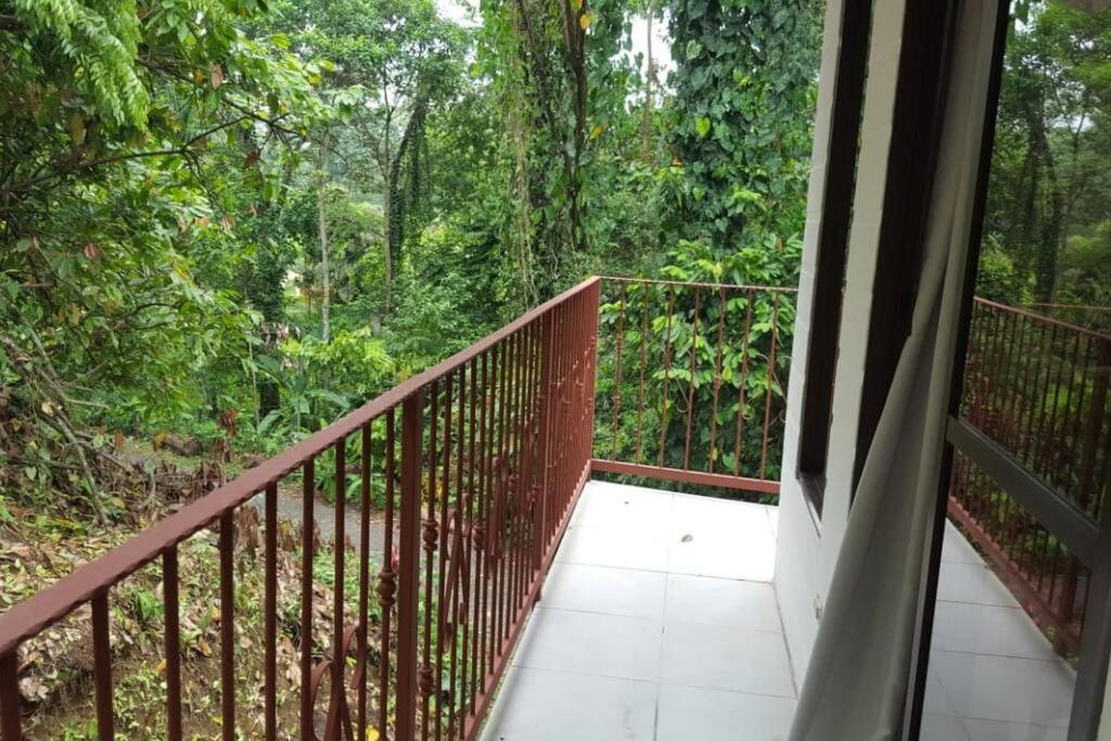 Casa Palmera Cocles, 300M To The Beach Puerto Viejo de Talamanca エクステリア 写真