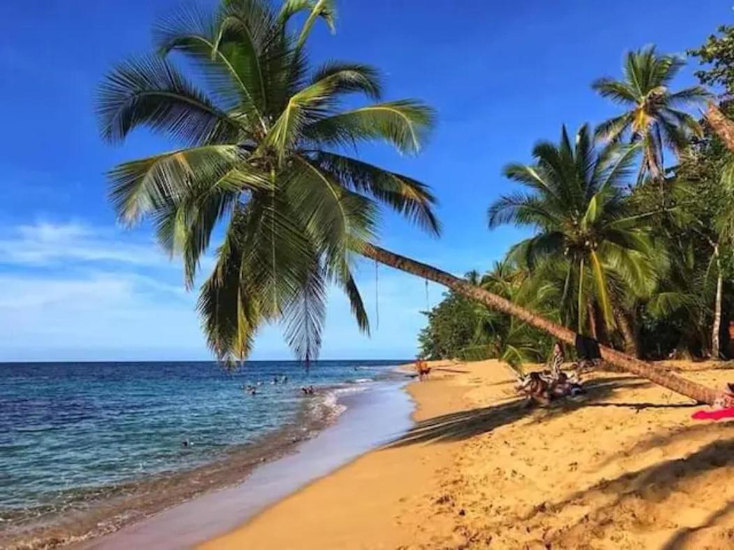 Casa Palmera Cocles, 300M To The Beach Puerto Viejo de Talamanca エクステリア 写真